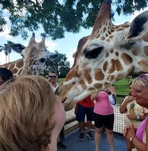 Meet your Posher, Sara